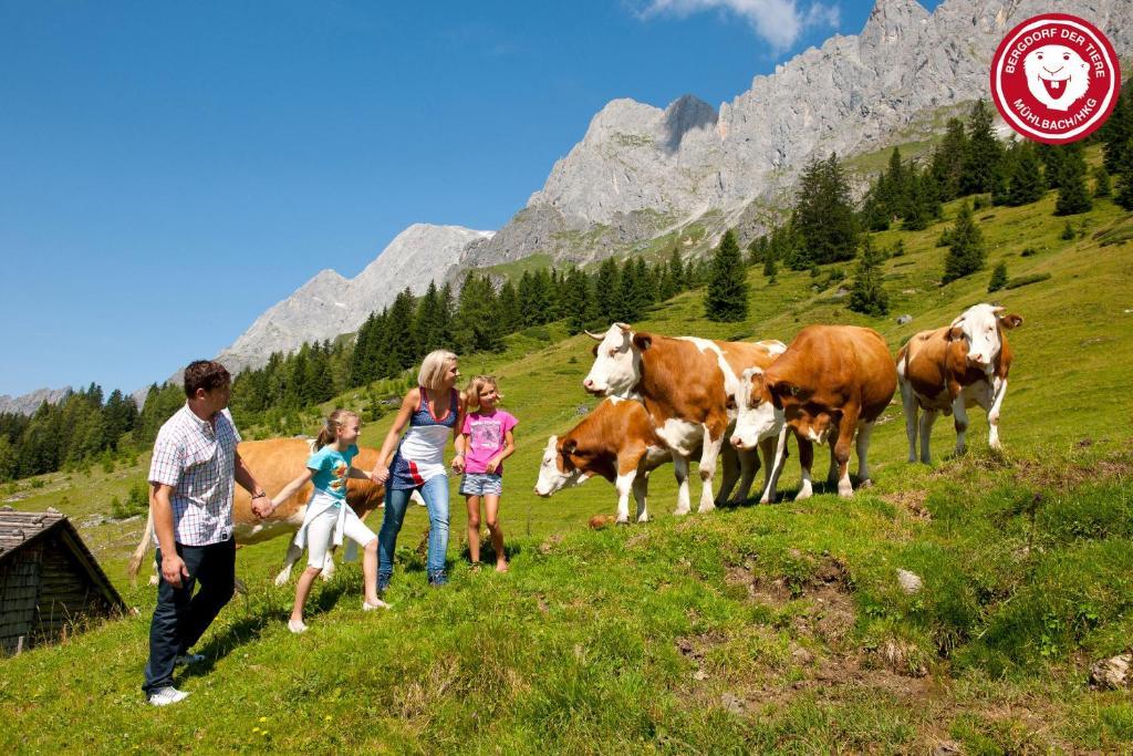 Apartments Haus Huber Mühlbach am Hochkönig Kültér fotó