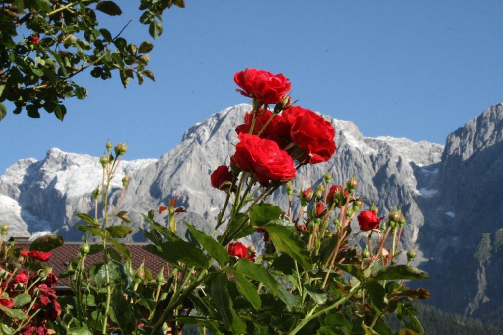 Apartments Haus Huber Mühlbach am Hochkönig Szoba fotó